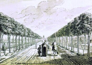 Gdańska Wielka Aleja ma swoje święto. Będzie wycieczka w przeszłość i przyszłość