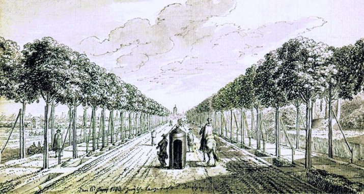 Gdańska Wielka Aleja ma swoje święto. Będzie wycieczka w przeszłość i przyszłość