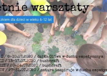 Przyrodnicze ABC oraz letnie warsztaty dla dzieci w Leśnej Bazie Wilczek