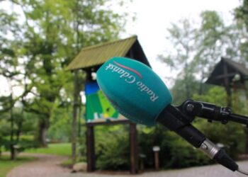 Chcesz poznać drzewa? Wybierz się koniecznie do Wirt, tam gdzie rosną dendrologiczne rarytasy