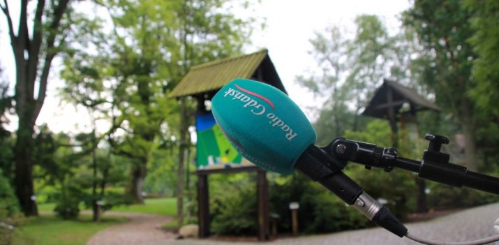 Chcesz poznać drzewa? Wybierz się koniecznie do Wirt, tam gdzie rosną dendrologiczne rarytasy