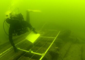 W Bałtyku znajduje się kilka tysięcy wraków. Część z nich można zobaczyć nie wychodząc z domu