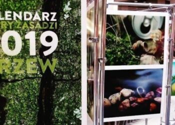 Wyczesz las i Weź to podnieś!!! Tworzenie kalendarza, który zasadzi 2020 drzew w 2020 roku.