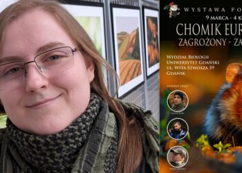 Czy w Polsce chomiki można spotkać w naturalnym środowisku? Odpowiedź wcale nie jest oczywista